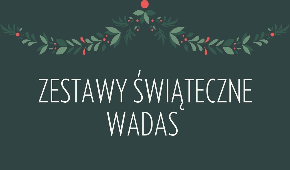 Read more about the article Zestawy Świąteczne Wadas